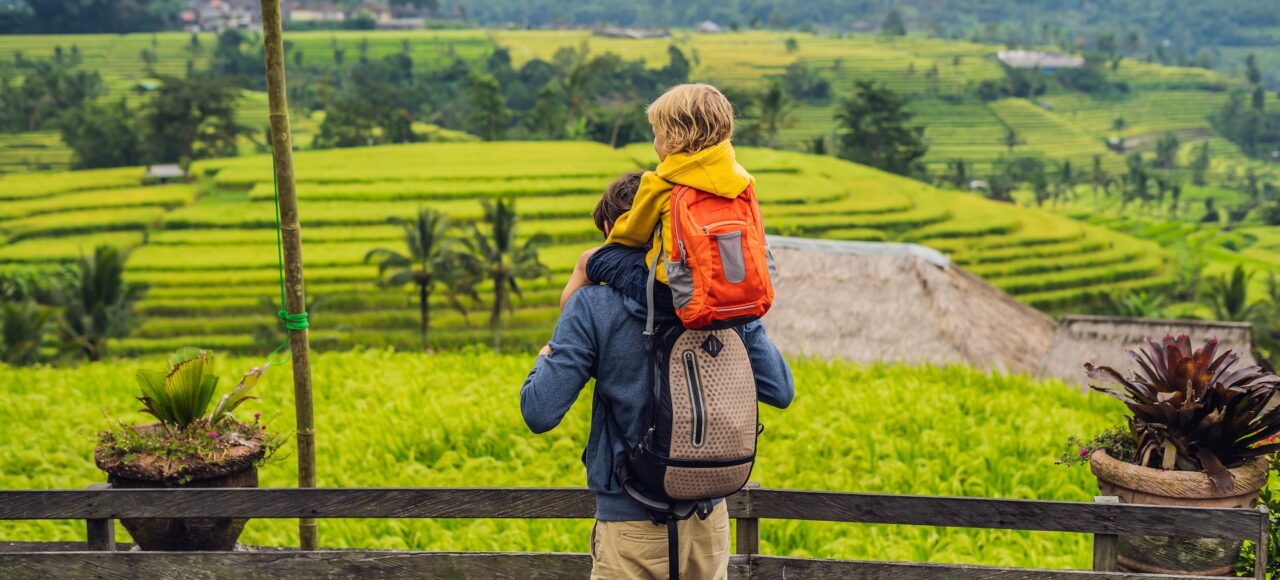 jatiluwih rice terrace