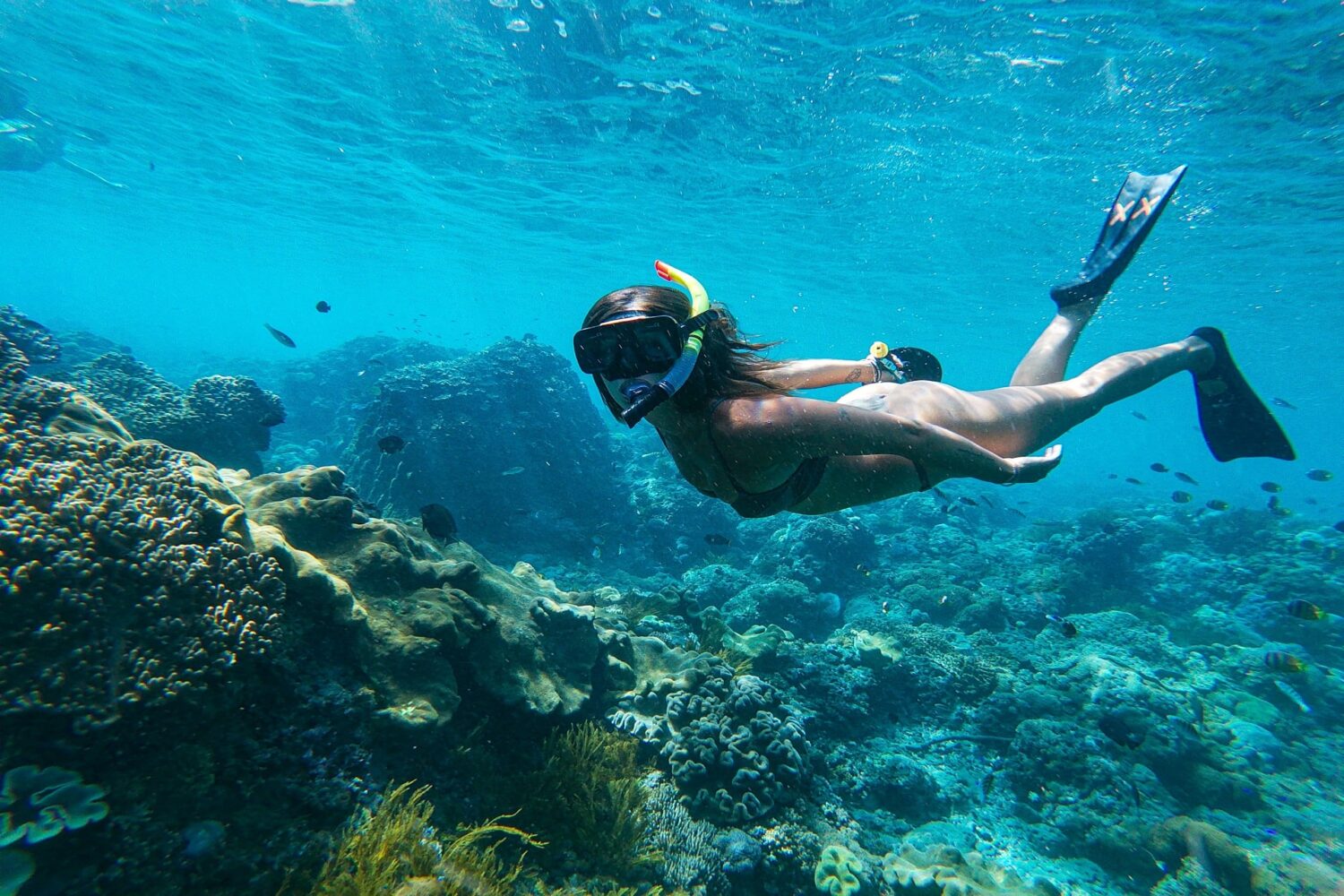 snorkeling nusa penida