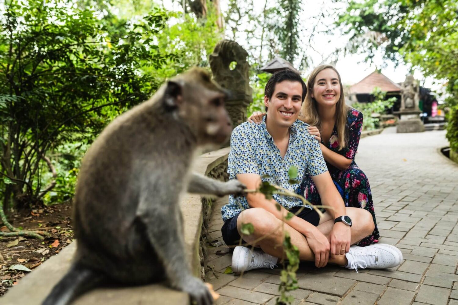 ubud monkey forest